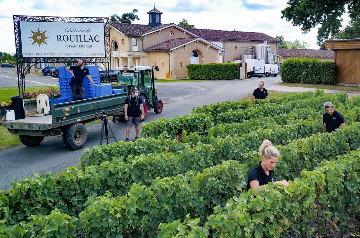 bordeaux harvest.jpg